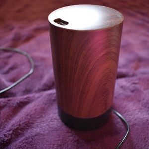 Wood Finish Small Diffuser